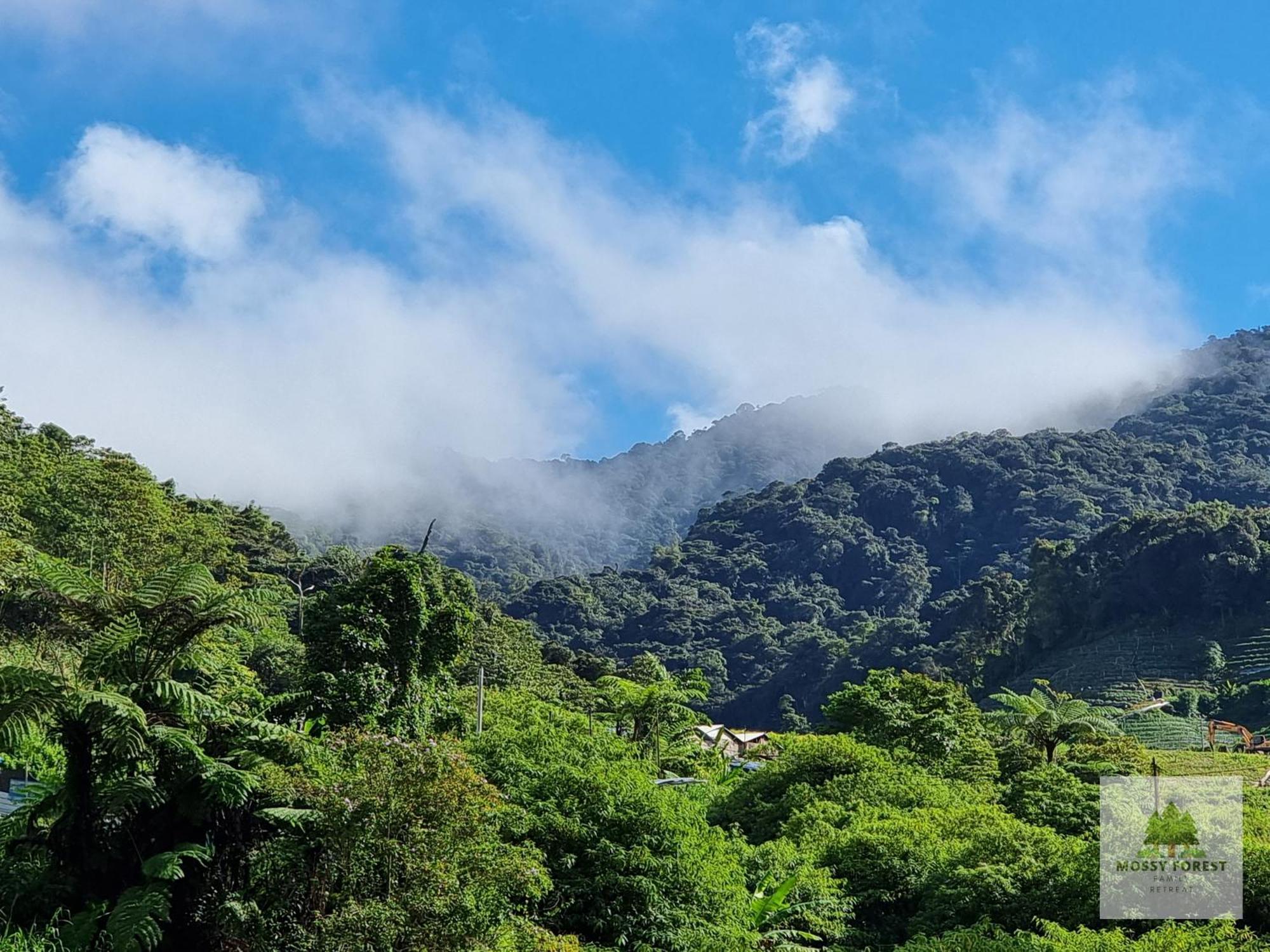 Clocktower 2 Homestay 2-7 Pax At Brinchang, Cameron Highlands Luaran gambar