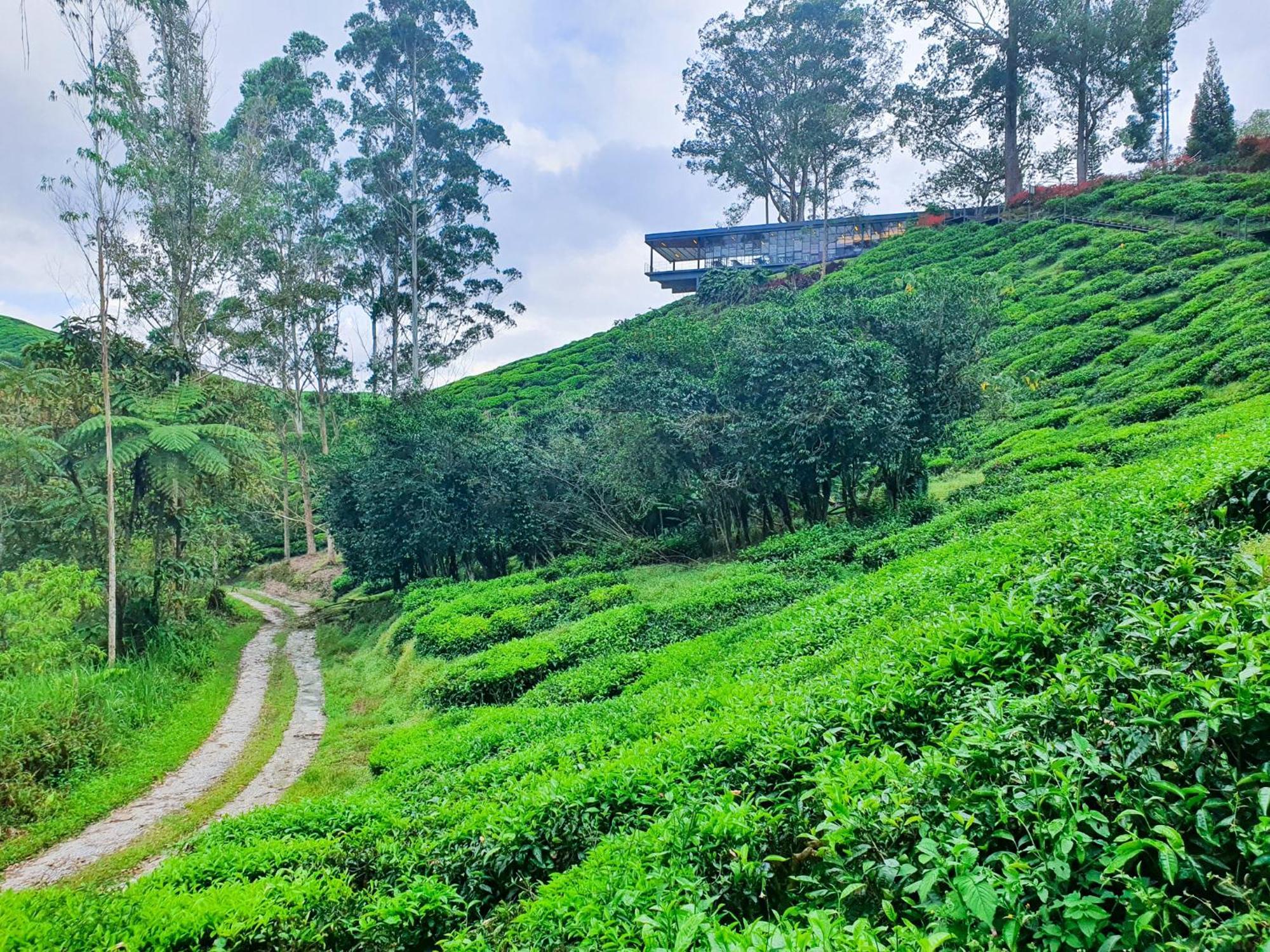 Clocktower 2 Homestay 2-7 Pax At Brinchang, Cameron Highlands Luaran gambar