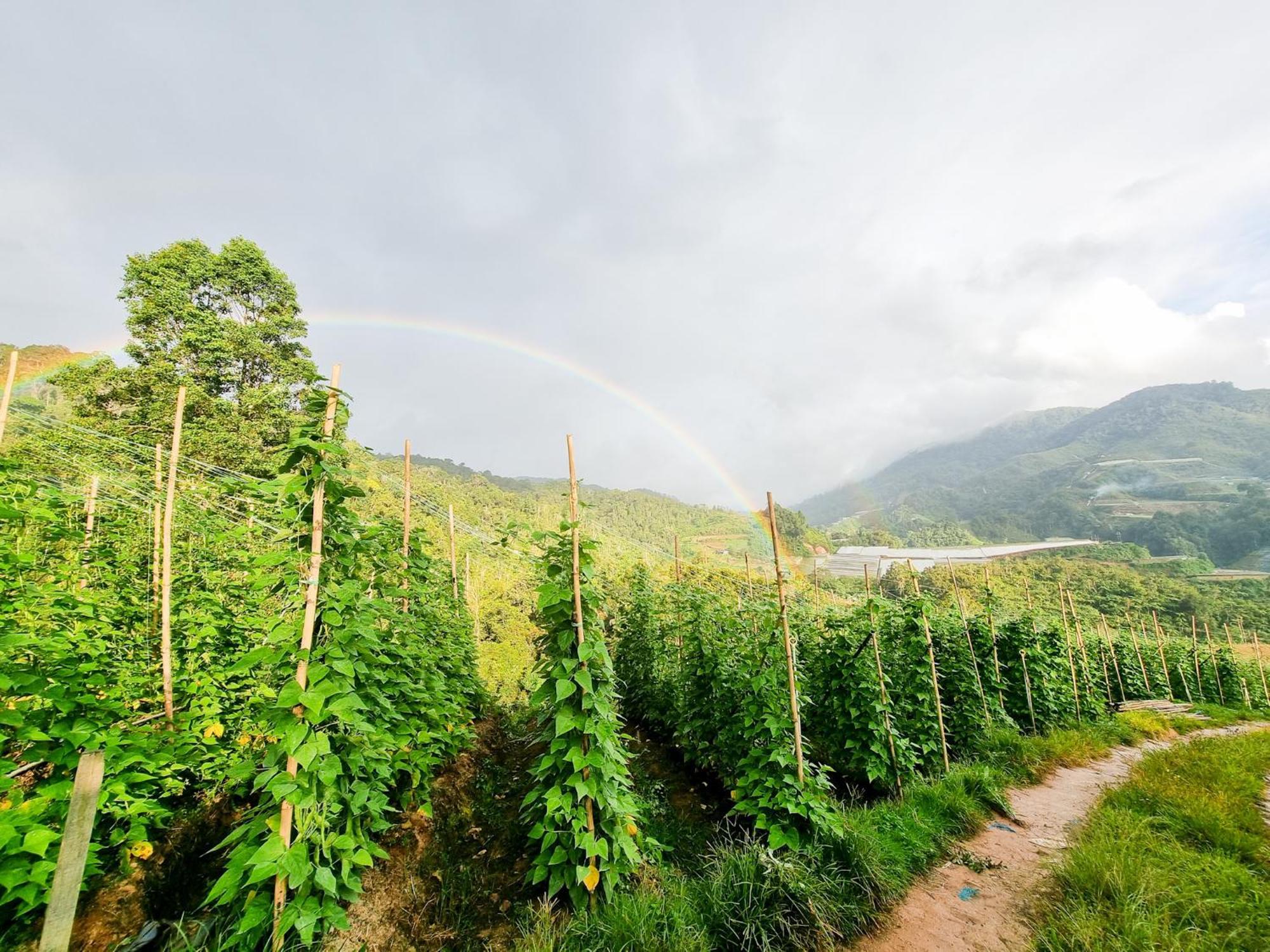 Clocktower 2 Homestay 2-7 Pax At Brinchang, Cameron Highlands Luaran gambar